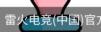 雷火电竞